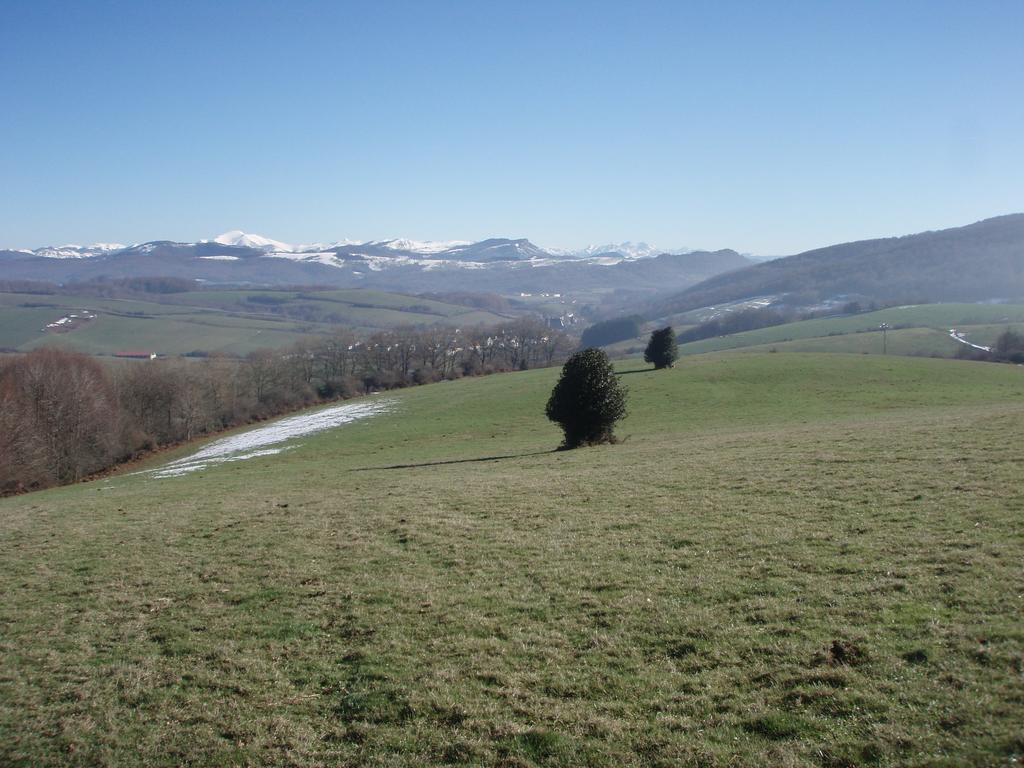 Espinal-Auzperri Casa Rural Irugoienea المظهر الخارجي الصورة